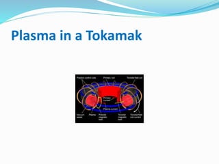 Plasma in a Tokamak
 
