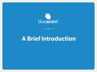 Blue Acorn Introduction