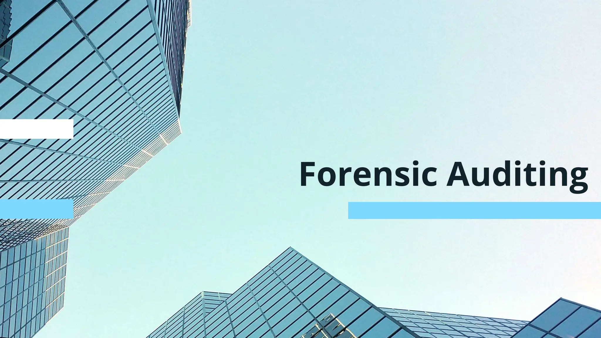 Forensic Auditing
 