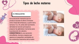 Precalostro Comprehensive Guide to Child Nutrition and Breastfeeding Techniques | PDF
