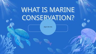 Blue and White Illustrative What is Marine Conservation Presentation .pptx