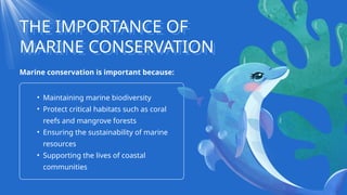 Blue and White Illustrative What is Marine Conservation Presentation .pptx