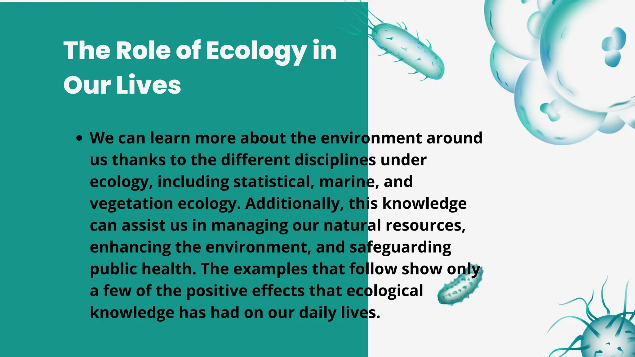 The Role of Ecology in
Our Lives
We can learn more about the environment around
us thanks to the different disciplines under
ecology, including statistical, marine, and
vegetation ecology. Additionally, this knowledge
can assist us in managing our natural resources,
enhancing the environment, and safeguarding
public health. The examples that follow show only
a few of the positive effects that ecological
knowledge has had on our daily lives.
 