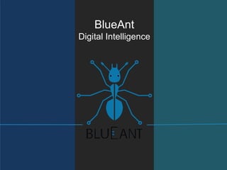 BlueAnt
Digital Intelligence
 