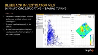 Crossplotting Blueback investigator Version 5.0 | PPSX