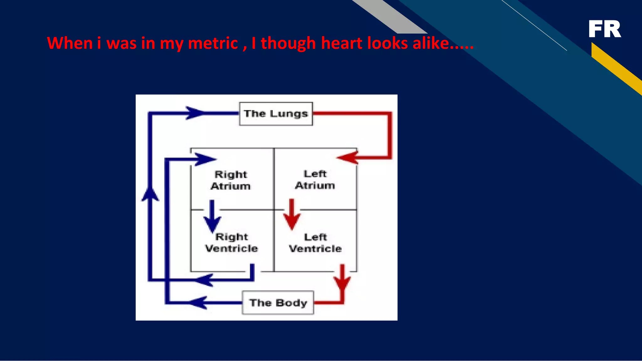 FR
When i was in my metric , I though heart looks alike.....
 