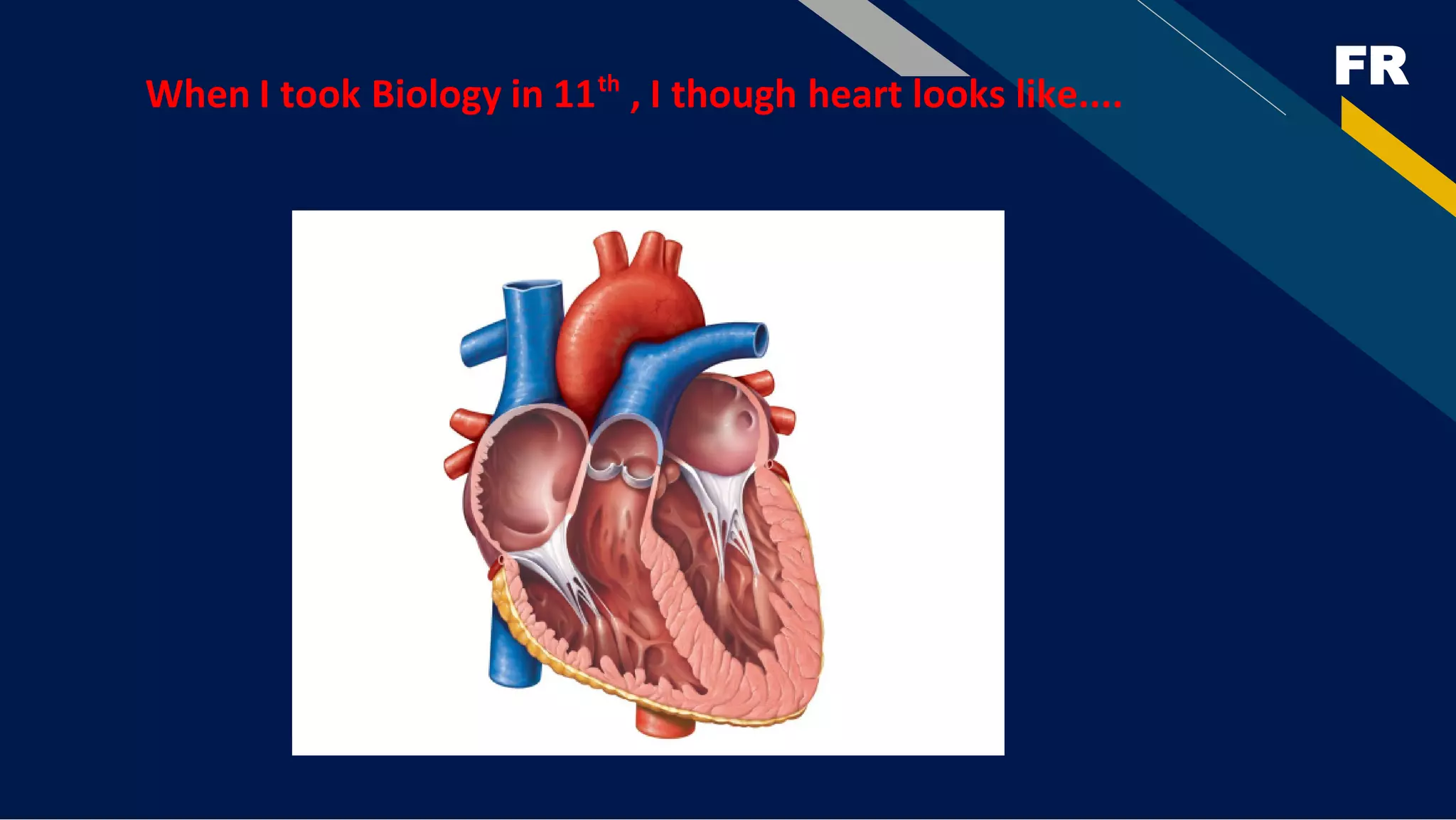 FR
When I took Biology in 11th
, I though heart looks like....
 