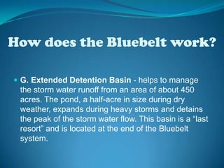 How does the Bluebelt work?G. Extended Detention Basin - helps to manage the storm water runoff from an area of about 450 acres. The pond, a half-acre in size during dry weather, expands during heavy storms and detains the peak of the storm water flow. This basin is a “last resort” and is located at the end of the Bluebelt system.