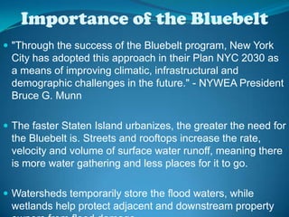 Importance of the Bluebelt"Through the success of the Bluebelt program, New York City has adopted this approach in their Plan NYC 2030 as a means of improving climatic, infrastructural and demographic challenges in the future." - NYWEA President Bruce G. Munn The faster Staten Island urbanizes, the greater the need for the Bluebelt is. Streets and rooftops increase the rate, velocity and volume of surface water runoff, meaning there is more water gathering and less places for it to go.Watersheds temporarily store the flood waters, while wetlands help protect adjacent and downstream property owners from flood damage. 