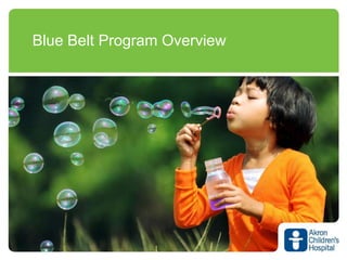 Blue Belt Program Overview
 