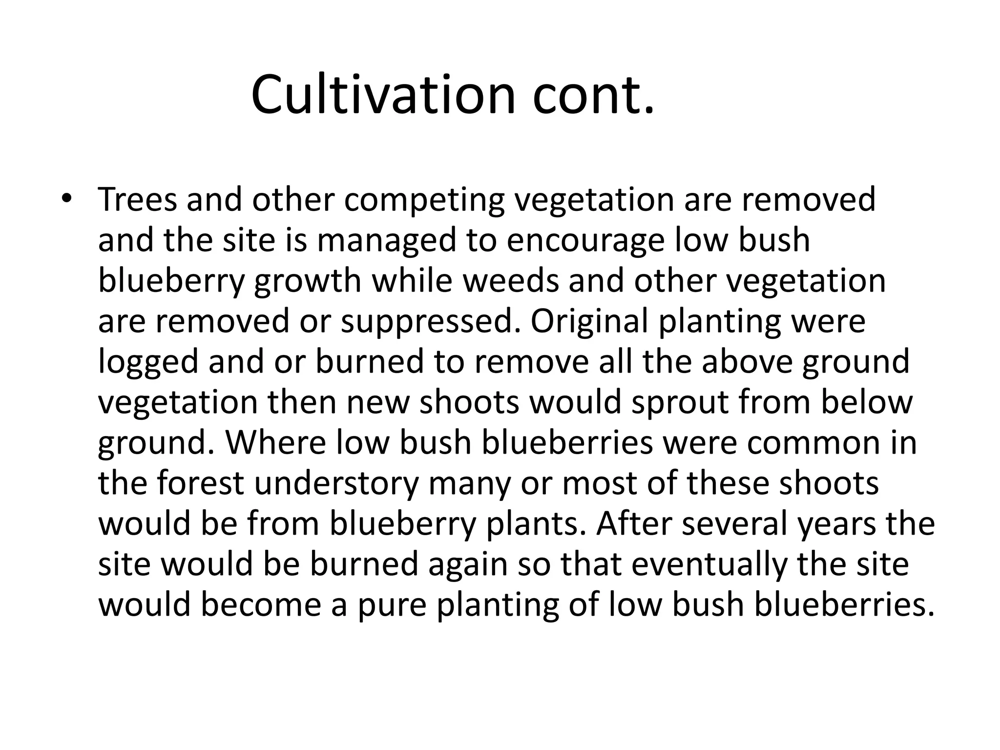 Cultivation cont.	Trees and other competing vegetation are removed and the site is managed to encourage low bush blueberry growth while weeds and other vegetation are removed or suppressed. Original planting were logged and or burned to remove all the above ground vegetation then new shoots would sprout from below ground. Where low bush blueberries were common in the forest understory many or most of these shoots would be from blueberry plants. After several years the site would be burned again so that eventually the site would become a pure planting of low bush blueberries. 