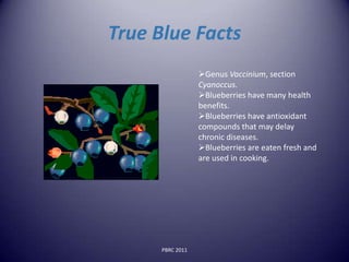 True Blue Facts
                  Genus Vaccinium, section
                  Cyanoccus.
                  Blueberries have many health
                  benefits.
                  Blueberries have antioxidant
                  compounds that may delay
                  chronic diseases.
                  Blueberries are eaten fresh and
                  are used in cooking.




      PBRC 2011
 