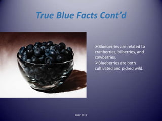 True Blue Facts Cont’d


                     Blueberries are related to
                     cranberries, bilberries, and
                     cowberries.
                     Blueberries are both
                     cultivated and picked wild.




         PBRC 2011
 