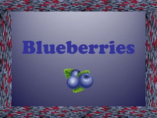 Blueberries
 