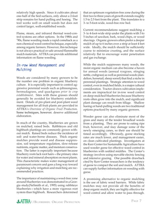 relatively high speeds. Since it cultivates about    that an optimum vegetation-free zone during the
one-half of the bed surfaces, only about a 2-foot    ﬁrst two to three years of growth extends roughly
strip remains for hand pulling and hoeing. The       1.5 to 2.5 feet from the plant. This translates to a
tool works well on small weeds but does not          3- to 5-foot-wide, weed-free row bed.
control larger, well-established weeds.
                                                     Current recommendations suggest mulching a
Flame, steam, and infrared thermal weed-con-         3- to 4-foot-wide strip under the plants with 3 to
trol systems are other options. In the 1980s and     5 inches of sawdust, bark, wood chips, or wood
’90s, ﬂame weeding made a rapid comeback as a        shavings. Organic growers often prefer a deeper
non-chemical weed control technique, especially      mulch of up to 6 inches over a strip at least 4 feet
among organic farmers. However, this technique       wide. Ideally, the mulch should be sufﬁciently
is not always practical or safe around ﬂammable      coarse to minimize crusting, and the surface
mulch materials. ATTRA can provide additional        relatively ﬂat to encourage water penetration
information on ﬂame weeding.                         and gas exchange.

In-row Weed Management and                           While the mulch suppresses many weeds, the
                                                     moist organic medium can also become a haven
Mulching                                             for annual weeds (annual ryegrass, stinging
                                                     nettle, crabgrass) as well as perennial weeds (dan-
Weeds are considered by many growers to be           delion, horsetail, sheep sorrel) that ﬁnd a niche in
the number one problem in organic blueberry          perennial plantings. Strategic attention to weed
culture. It is especially important to control ag-   control, even in mulched ﬁelds, is a major cultural
gressive perennial weeds such as johnsongrass,       consideration. Tractor-drawn cultivation imple-
bermudagrass, and quackgrass prior to crop           ments are impractical for in-row weed control
establishment. Sites with these grasses should       on deep-mulched blueberries because blueberry
generally be avoided for blueberry establish-        roots often grow into the mulch, and signiﬁcant
ment. Details of pre-plant and post-plant weed       plant damage can result from tillage. Shallow
management for all fruit plants are provided in      hoeing or hand-pulling weeds are two traditional
ATTRA’s Overview of Organic Fruit Production.        options practiced by many organic growers.
Some techniques, however, deserve additional
elaboration.                                         Weeder geese can also eliminate most of the
                                                     grass and many of the tender broadleaf weeds
In much of the country, blueberries are grown        from a planting. They are prone to eating ripe
on mulched, raised beds. Rabbiteyes and old          fruit, however, and may damage some of the
highbush plantings are commonly grown with-          newly emerging canes, so their use should be
out mulch. Raised beds reduce the incidence of       timed accordingly. Obviously, goose stocking
soil- and water-borne diseases. Thick organic        rates are much lower, and management easier,
mulches provide weed and disease suppres-            on clean cultivated plantings. Investigators at
sion, soil temperature regulation, slow-release      the Kerr Center for Sustainable Agriculture have
nutrients, organic matter, and moisture conserva-    used weeder geese for effective weed control in
tion. The latter is especially important because     blueberries with sodded middles. The Center’s
blueberry roots lack root hairs—the primary sites    strategy involves using movable electric fencing
for water and mineral absorption on most plants.     and intensive grazing. One possible drawback
This characteristic makes water management of        cited by Kerr Center researchers is the tendency
paramount concern and goes a long way toward         of geese to compact the soil and mulch. ATTRA
explaining why irrigation and mulching are rec-      can supply further information on weeding with
ommended practices.                                  geese.

The importance of maintaining a weed-free zone       A promising alternative to organic mulching
around blueberries was demonstrated in a Geor-       is the use of fabric weed barriers. While fabric
gia study(NeSmith et al., 1995) using rabbiteye      mulches may not provide all the benefits of
blueberries—which have a more vigorous root          deep organic mulch, they are highly effective for
system than highbush. Researchers determined         weed control and allow water to pass through.


           //BLUEBERRIES: ORGANIC PRODUCTION                                                 PAGE 7
 