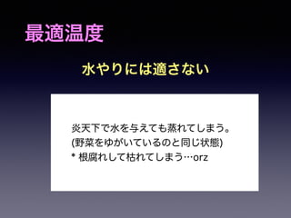 最適温度 
水やりには適さない 
炎天下で水を与えても蒸れてしまう。 
(野菜をゆがいているのと同じ状態) 
* 根腐れして枯れてしまう…orz 
 