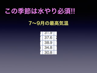この季節は水やり必須!! 
7～9月の最高気温 
 