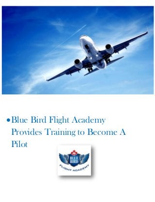 Blue Bird Flight Academy
Provides Training to Become A
Pilot
 
