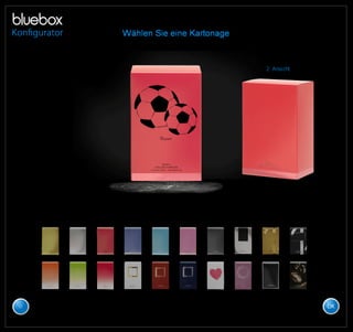 Bluebox demo als_pdf_02