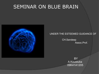 SEMINAR ON BLUE BRAIN




           UNDER THE ESTEEMED GUIDANCE OF

                  CH.Sandeep
                           Assoc.Prof.




                          BY
                      A.Koustuba
                      09K41A1205
 