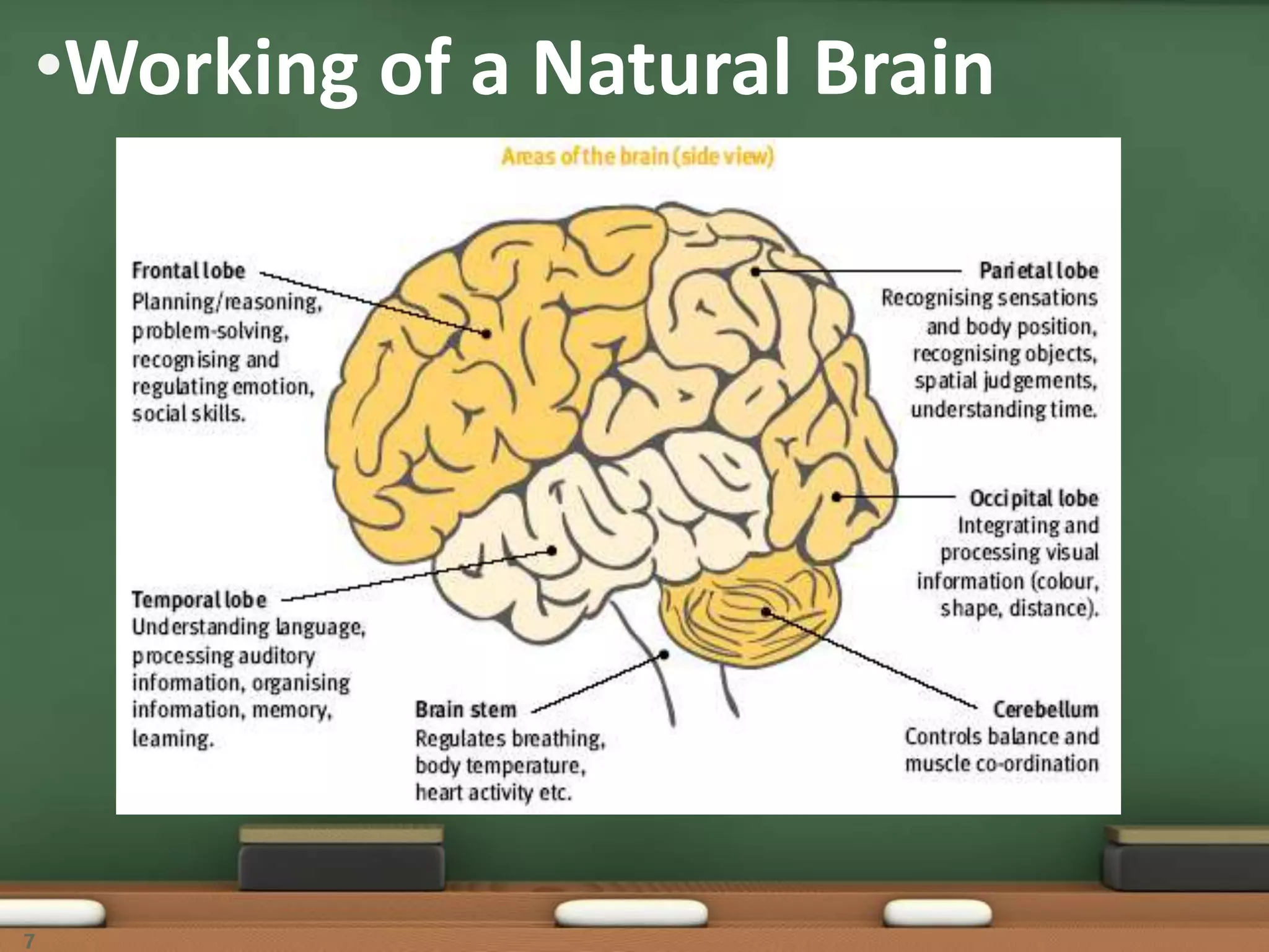 •Working of a Natural Brain
7
 
