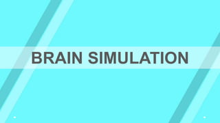 BRAIN SIMULATION
 
