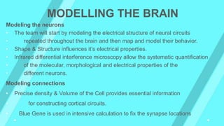 Modeling the neurons
• The team will start by modeling the electrical structure of neural circuits
• repeated throughout the brain and then map and model their behavior.
• Shape & Structure influences it’s electrical properties.
• Infrared differential interference microscopy allow the systematic quantification
• of the molecular, morphological and electrical properties of the
• different neurons.
Modeling connections
• Precise density & Volume of the Cell provides essential information
• for constructing cortical circuits.
• Blue Gene is used in intensive calculation to fix the synapse locations
MODELLING THE BRAIN
 