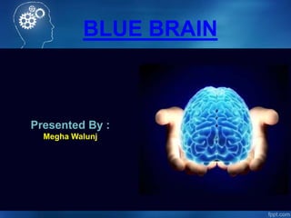 BLUE BRAIN
Presented By :
Megha Walunj
 