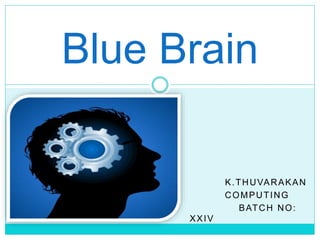 K.THUVARAKAN
COMPUTING
BATCH NO:
XXIV
Blue Brain
 