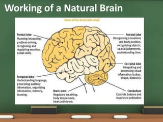 Working of a Natural Brain
 