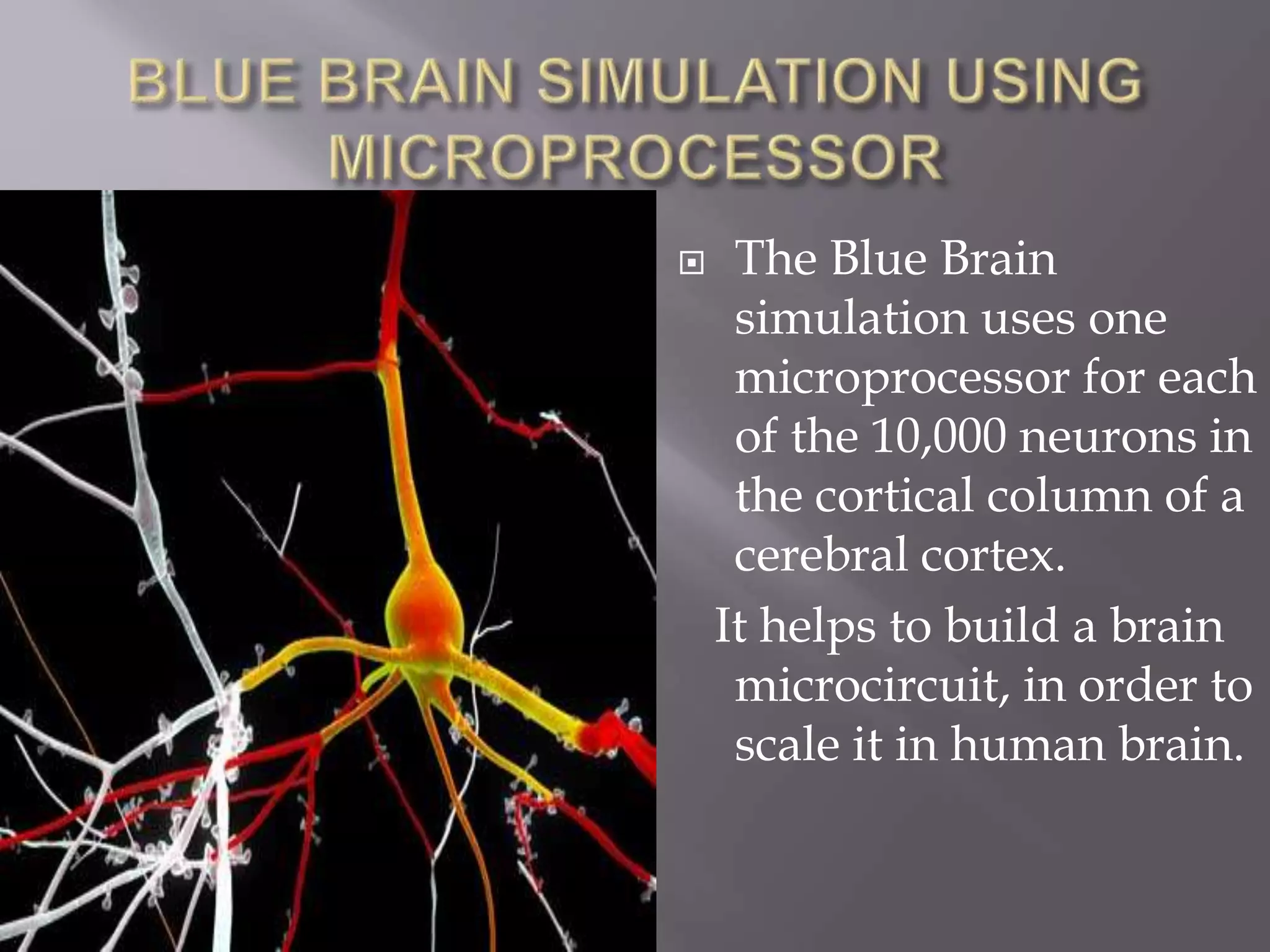  The Blue Brain
simulation uses one
microprocessor for each
of the 10,000 neurons in
the cortical column of a
cerebral cortex.
It helps to build a brain
microcircuit, in order to
scale it in human brain.
 