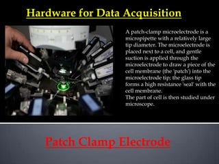 Hardware for Data Acquisition
A patch-clamp microelectrode is a
micropipette with a relatively large
tip diameter. The microelectrode is
placed next to a cell, and gentle
suction is applied through the
microelectrode to draw a piece of the
cell membrane (the 'patch') into the
microelectrode tip; the glass tip
forms a high resistance 'seal' with the
cell membrane.
The part of cell is then studied under
microscope.

Patch Clamp Electrode

 