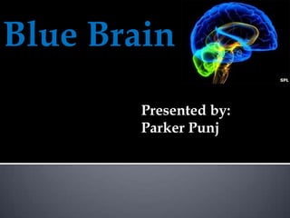 Blue Brain
Presented by:
Parker Punj

 