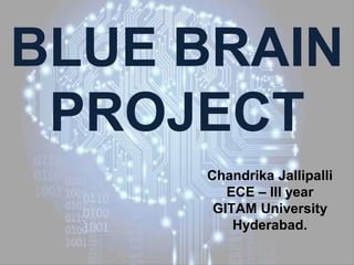 BLUE BRAIN
PROJECT
Chandrika Jallipalli
ECE – III year
GITAM University
Hyderabad.
 