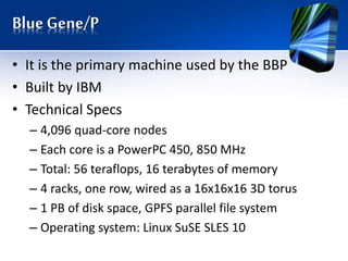 Blue Gene/P
• It is the primary machine used by the BBP
• Built by IBM
• Technical Specs
– 4,096 quad-core nodes
– Each core is a PowerPC 450, 850 MHz
– Total: 56 teraflops, 16 terabytes of memory
– 4 racks, one row, wired as a 16x16x16 3D torus
– 1 PB of disk space, GPFS parallel file system
– Operating system: Linux SuSE SLES 10
 