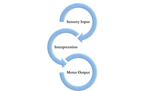 Sensory Input
Interpretation
Motor Output
 