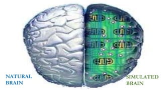 NATURAL
BRAIN
SIMULATED
BRAIN
 