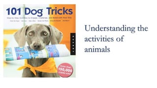 Understanding the
activities of
animals
 