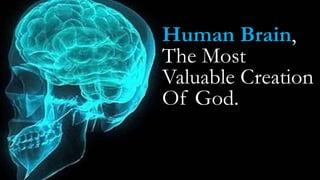 Human Brain,
The Most
Valuable Creation
Of God.
 