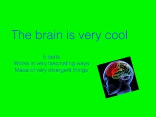 2
The brain is very cool
5 parts
Works in very fascinating ways
Made of very divergent things
 