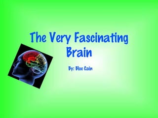 The Very Fascinating
Brain
By: Blue Cain
 