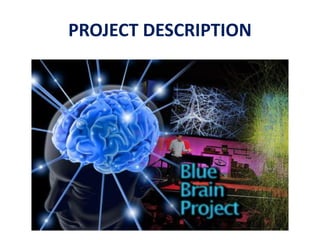 PROJECT DESCRIPTION
 