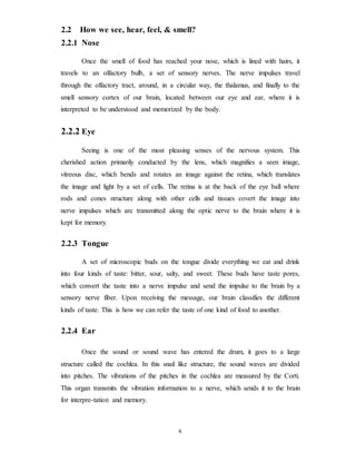2.2 How we see, hear, feel, & smell?
2.2.1 Nose
Once the smell of food has reached your nose, which is lined with hairs, it
travels to an olfactory bulb, a set of sensory nerves. The nerve impulses travel
through the olfactory tract, around, in a circular way, the thalamus, and finally to the
smell sensory cortex of our brain, located between our eye and ear, where it is
interpreted to be understood and memorized by the body.
2.2.2 Eye
Seeing is one of the most pleasing senses of the nervous system. This
cherished action primarily conducted by the lens, which magnifies a seen image,
vitreous disc, which bends and rotates an image against the retina, which translates
the image and light by a set of cells. The retina is at the back of the eye ball where
rods and cones structure along with other cells and tissues covert the image into
nerve impulses which are transmitted along the optic nerve to the brain where it is
kept for memory.
2.2.3 Tongue
A set of microscopic buds on the tongue divide everything we eat and drink
into four kinds of taste: bitter, sour, salty, and sweet. These buds have taste pores,
which convert the taste into a nerve impulse and send the impulse to the brain by a
sensory nerve fiber. Upon receiving the message, our brain classifies the different
kinds of taste. This is how we can refer the taste of one kind of food to another.
2.2.4 Ear
Once the sound or sound wave has entered the drum, it goes to a large
structure called the cochlea. In this snail like structure, the sound waves are divided
into pitches. The vibrations of the pitches in the cochlea are measured by the Corti.
This organ transmits the vibration information to a nerve, which sends it to the brain
for interpre-tation and memory.
6
 
