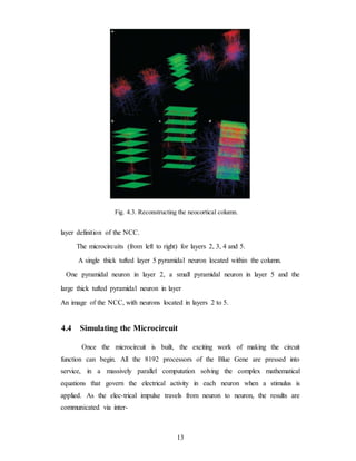 Fig. 4.3. Reconstructing the neocortical column.
layer definition of the NCC.
The microcircuits (from left to right) for layers 2, 3, 4 and 5.
A single thick tufted layer 5 pyramidal neuron located within the column.
One pyramidal neuron in layer 2, a small pyramidal neuron in layer 5 and the
large thick tufted pyramidal neuron in layer
An image of the NCC, with neurons located in layers 2 to 5.
4.4 Simulating the Microcircuit
Once the microcircuit is built, the exciting work of making the circuit
function can begin. All the 8192 processors of the Blue Gene are pressed into
service, in a massively parallel computation solving the complex mathematical
equations that govern the electrical activity in each neuron when a stimulus is
applied. As the elec-trical impulse travels from neuron to neuron, the results are
communicated via inter-
13
 