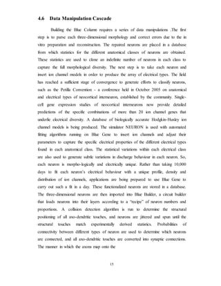 4.6 Data Manipulation Cascade
Building the Blue Column requires a series of data manipulations .The first
step is to parse each three-dimensional morphology and correct errors due to the in
vitro preparation and reconstruction. The repaired neurons are placed in a database
from which statistics for the different anatomical classes of neurons are obtained.
These statistics are used to clone an indefinite number of neurons in each class to
capture the full morphological diversity. The next step is to take each neuron and
insert ion channel models in order to produce the array of electrical types. The field
has reached a sufficient stage of convergence to generate efforts to classify neurons,
such as the Petilla Convention - a conference held in October 2005 on anatomical
and electrical types of neocortical interneuron, established by the community. Single-
cell gene expression studies of neocortical interneurons now provide detailed
predictions of the specific combinations of more than 20 ion channel genes that
underlie electrical diversity. A database of biologically accurate Hodgkin-Huxley ion
channel models is being produced. The simulator NEURON is used with automated
fitting algorithms running on Blue Gene to insert ion channels and adjust their
parameters to capture the specific electrical properties of the different electrical types
found in each anatomical class. The statistical variations within each electrical class
are also used to generate subtle variations in discharge behaviour in each neuron. So,
each neuron is morpho-logically and electrically unique. Rather than taking 10,000
days to fit each neuron’s electrical behaviour with a unique profile, density and
distribution of ion channels, applications are being prepared to use Blue Gene to
carry out such a fit in a day. These functionalized neurons are stored in a database.
The three-dimensional neurons are then imported into Blue Builder, a circuit builder
that loads neurons into their layers according to a “recipe” of neuron numbers and
proportions. A collision detection algorithm is run to determine the structural
positioning of all axo-dendritic touches, and neurons are jittered and spun until the
structural touches match experimentally derived statistics. Probabilities of
connectivity between different types of neuron are used to determine which neurons
are connected, and all axo-dendritic touches are converted into synaptic connections.
The manner in which the axons map onto the
15
 