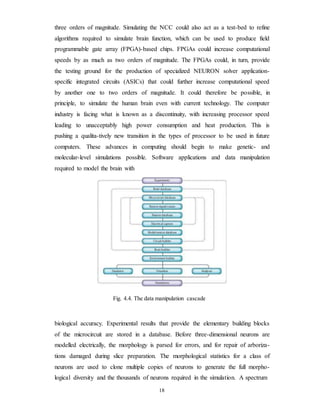 three orders of magnitude. Simulating the NCC could also act as a test-bed to refine
algorithms required to simulate brain function, which can be used to produce field
programmable gate array (FPGA)-based chips. FPGAs could increase computational
speeds by as much as two orders of magnitude. The FPGAs could, in turn, provide
the testing ground for the production of specialized NEURON solver application-
specific integrated circuits (ASICs) that could further increase computational speed
by another one to two orders of magnitude. It could therefore be possible, in
principle, to simulate the human brain even with current technology. The computer
industry is facing what is known as a discontinuity, with increasing processor speed
leading to unacceptably high power consumption and heat production. This is
pushing a qualita-tively new transition in the types of processor to be used in future
computers. These advances in computing should begin to make genetic- and
molecular-level simulations possible. Software applications and data manipulation
required to model the brain with
Fig. 4.4. The data manipulation cascade
biological accuracy. Experimental results that provide the elementary building blocks
of the microcircuit are stored in a database. Before three-dimensional neurons are
modelled electrically, the morphology is parsed for errors, and for repair of arboriza-
tions damaged during slice preparation. The morphological statistics for a class of
neurons are used to clone multiple copies of neurons to generate the full morpho-
logical diversity and the thousands of neurons required in the simulation. A spectrum
18
 