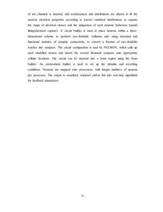 of ion channels is inserted, and conductances and distributions are altered to fit the
neurons electrical properties according to known statistical distributions, to capture
the range of electrical classes and the uniqueness of each neurons behaviour (model
fitting/electrical capture). A circuit builder is used to place neurons within a three-
dimensional column, to perform axo-dendritic collisions and, using structural and
functional statistics of synaptic connectivity, to convert a fraction of axo-dendritic
touches into synapses. The circuit configuration is read by NEURON, which calls up
each modelled neuron and inserts the several thousand synapses onto appropriate
cellular locations. The circuit can be inserted into a brain region using the brain
builder. An environment builder is used to set up the stimulus and recording
conditions. Neurons are mapped onto processors, with integer numbers of neurons
per processor. The output is visualized, analysed and/or fed into real-time algorithms
for feedback stimulation.
19
 