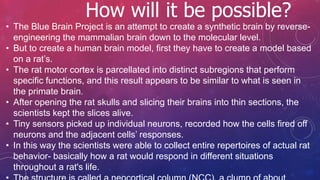 How will it be possible?
• The Blue Brain Project is an attempt to create a synthetic brain by reverse-
engineering the mammalian brain down to the molecular level.
• But to create a human brain model, first they have to create a model based
on a rat’s.
• The rat motor cortex is parcellated into distinct subregions that perform
specific functions, and this result appears to be similar to what is seen in
the primate brain.
• After opening the rat skulls and slicing their brains into thin sections, the
scientists kept the slices alive.
• Tiny sensors picked up individual neurons, recorded how the cells fired off
neurons and the adjacent cells’ responses.
• In this way the scientists were able to collect entire repertoires of actual rat
behavior- basically how a rat would respond in different situations
throughout a rat's life.
 