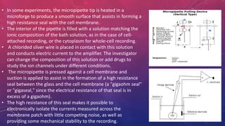 • In some experiments, the micropipette tip is heated in a
microforge to produce a smooth surface that assists in forming a
high resistance seal with the cell membrane.
• The interior of the pipette is filled with a solution matching the
ionic composition of the bath solution, as in the case of cell-
attached recording, or the cytoplasm for whole-cell recording.
• A chlorided silver wire is placed in contact with this solution
and conducts electric current to the amplifier. The investigator
can change the composition of this solution or add drugs to
study the ion channels under different conditions.
• The micropipette is pressed against a cell membrane and
suction is applied to assist in the formation of a high resistance
seal between the glass and the cell membrane (a "gigaohm seal"
or "gigaseal," since the electrical resistance of that seal is in
excess of a gigaohm).
• The high resistance of this seal makes it possible to
electronically isolate the currents measured across the
membrane patch with little competing noise, as well as
providing some mechanical stability to the recording.
 