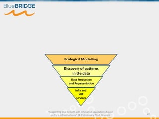 "Supporting Blue Growth with innovative applications based
on EU e-infrastructures”, 14-15 February 2018, Brussels
20
Data Production
and Representation
Discovery of patterns
in the data
Ecological Modelling
Infra and
VRE
services
 